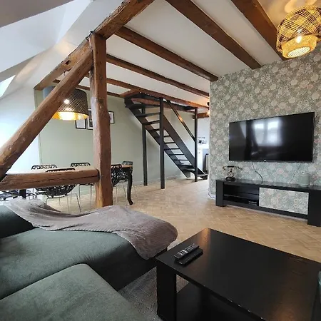 Appartement Le Baroque En Duplex Mulhouse Exterior photo