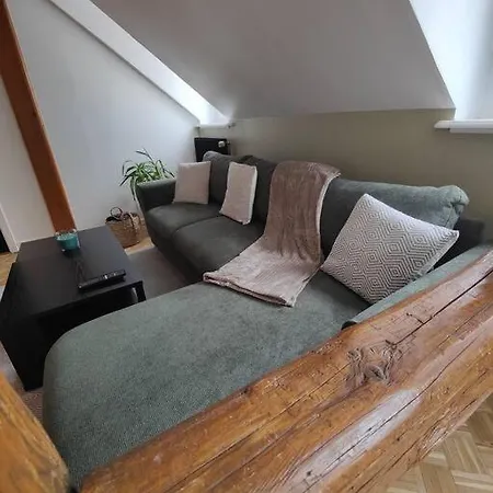Appartement Le Baroque En Duplex Mulhouse Exterior photo