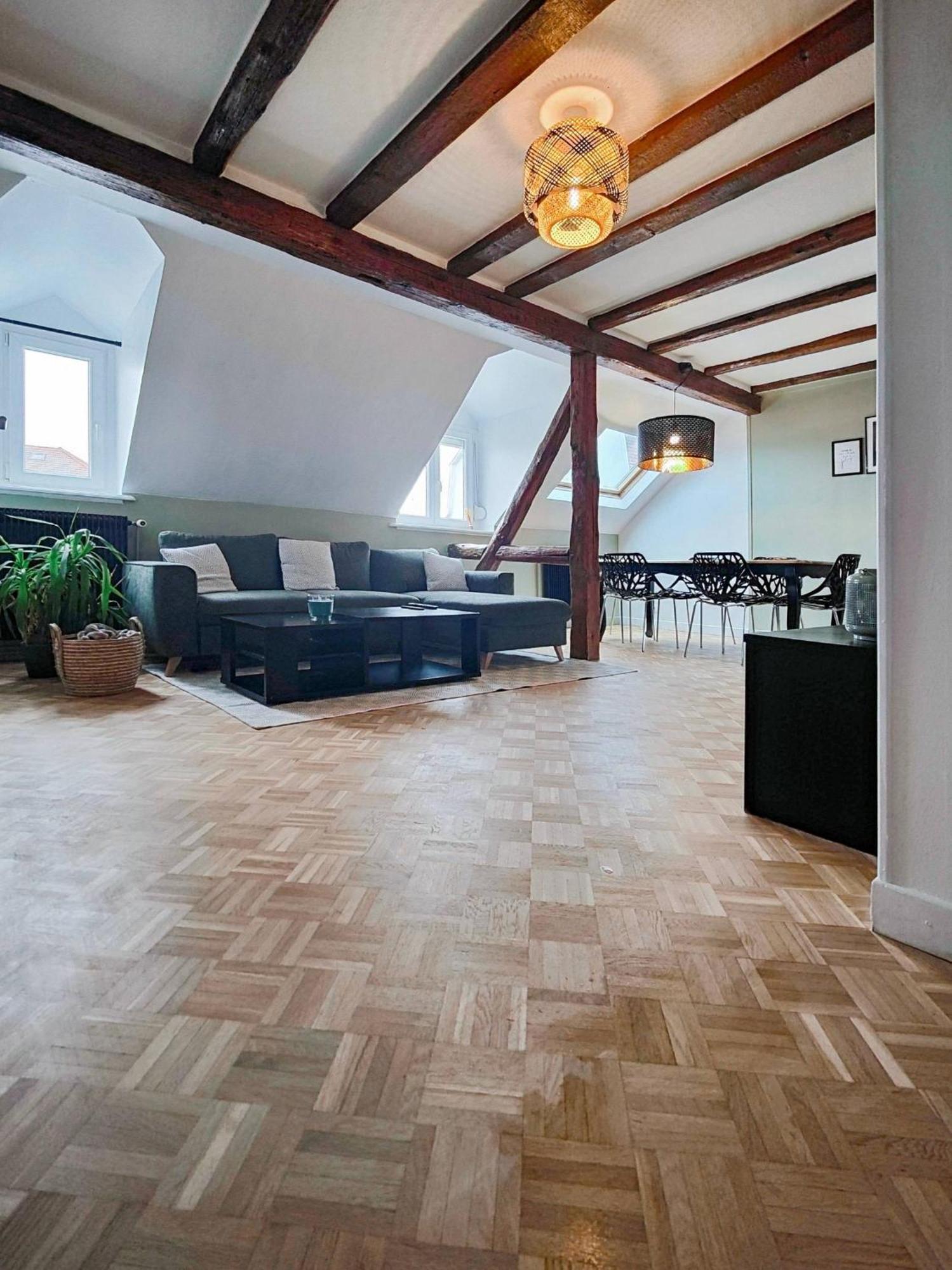 Le Baroque En Duplex Apartment Mulhouse